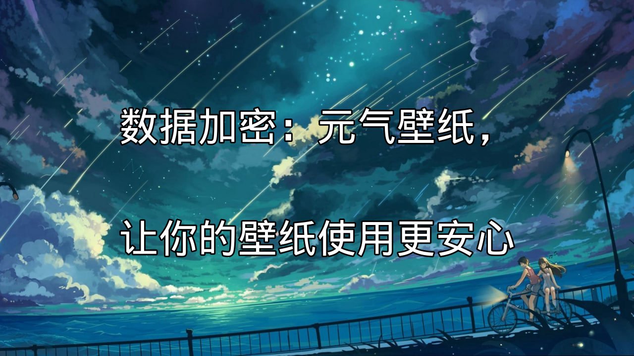 数据加密：元气壁纸，让你的壁纸使用更安心功能介绍